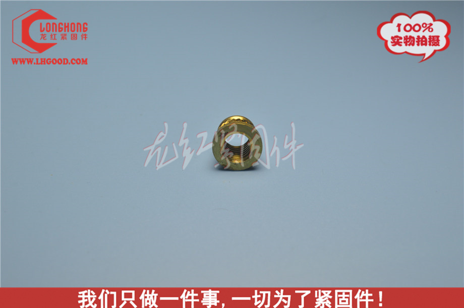 非標SPIRO系列熱熔螺母深圳.JPG