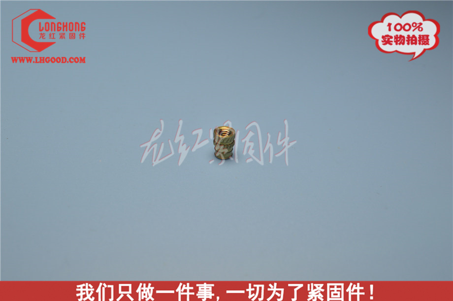 熱熔螺母TX DOUBLE VANE.JPG