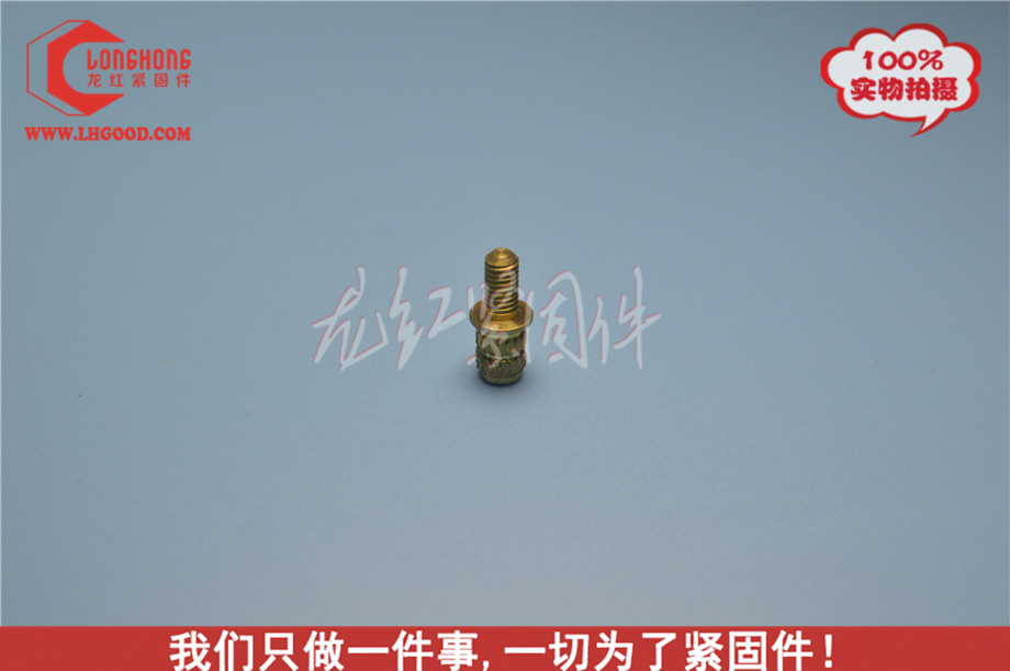 深圳HEAT-LOK系列熱熔螺母(HLHS系列熱熔螺母).JPG