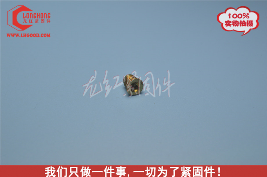 深圳FIN-LOK系列熱熔螺母(FLH系列熱熔螺母).JPG