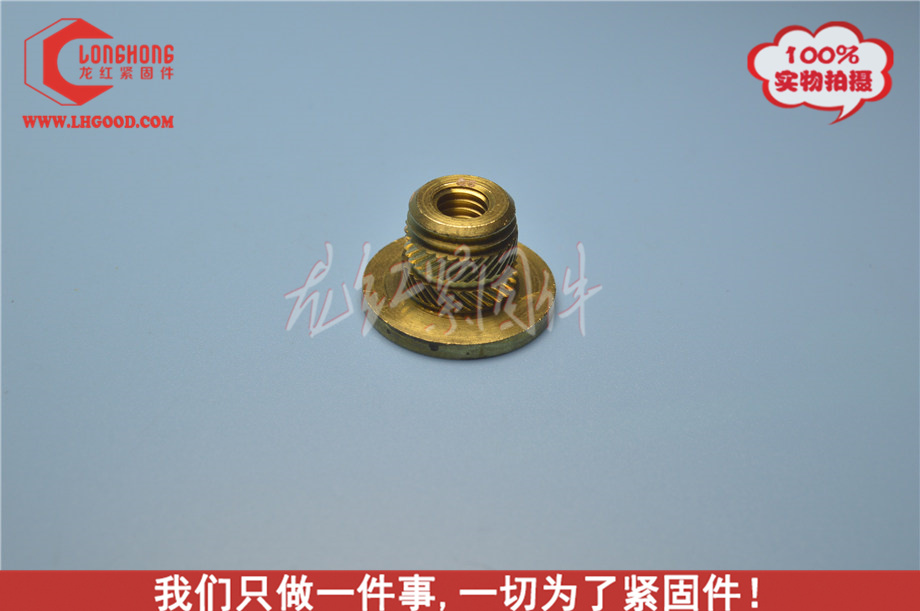 6030H系列熱熔螺母.JPG
