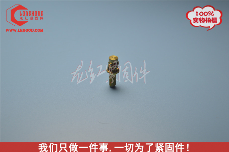 進口SLHS熱熔螺母,sHSl熱熔螺母,非標SLHS熱熔螺母.JPG