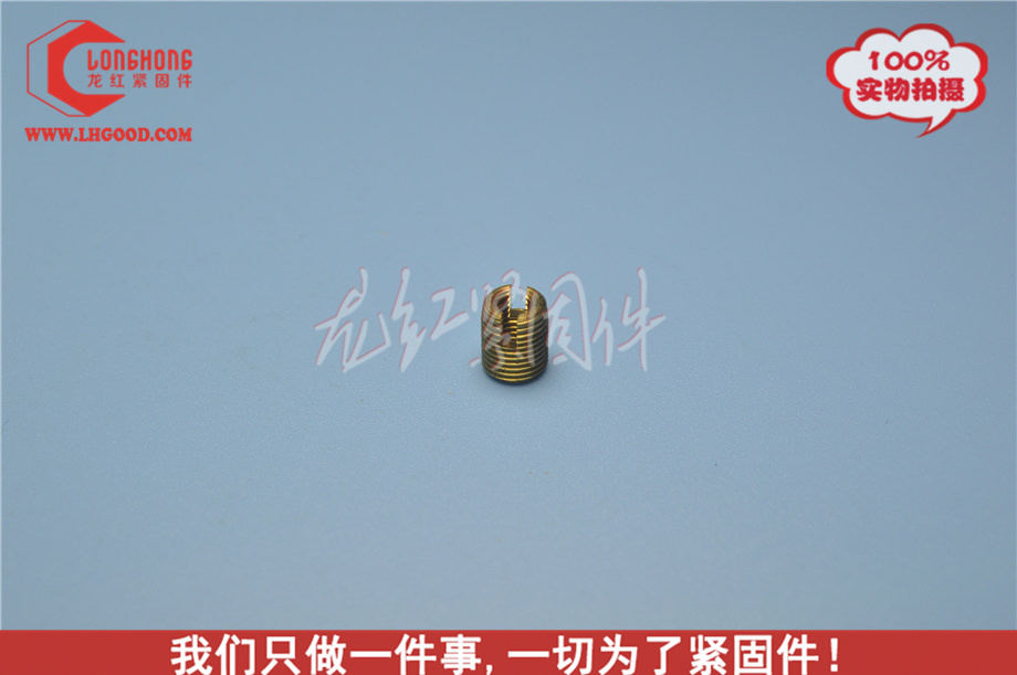 SCREW-SERT系列熱熔螺母（sct系列熱熔螺母）.JPG