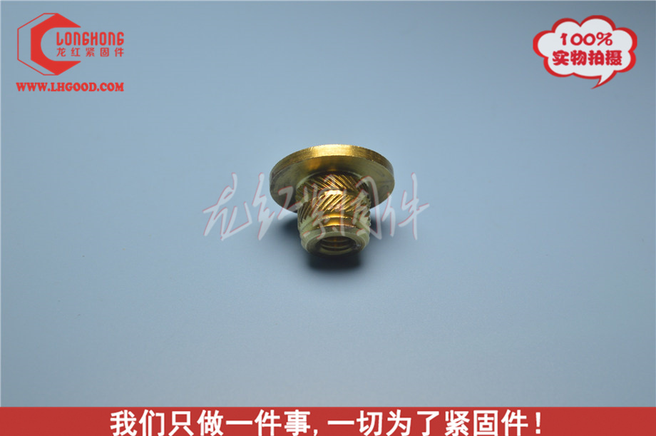 東莞6030H系列熱熔螺母.JPG