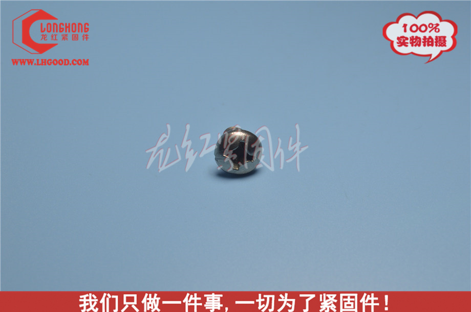 大扁頭自攻螺絲JISB1122不銹鋼.jpg
