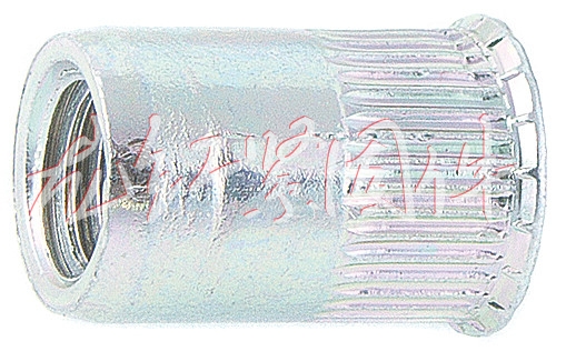 fi_20524511_web.jpg