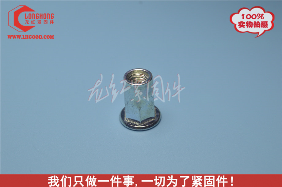 東莞 平頭通孔鉚螺母系列GB標(biāo)準(zhǔn).jpg